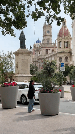 Valencia street scene features decorative planters with flowering displays