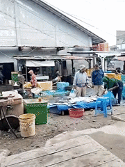 Early morning fish market bustles in Lhokseumawe, Indonesia
