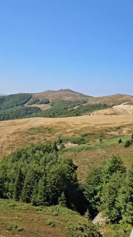 The video shows a panoramic view of a mountainous landscape on a clear, sunny day. The foreground features a dense cluster of green trees. Beyond the trees, a wide expanse of dry, golden-brown grass stretches across rolling hills. In the mid-ground, there are patches of green vegetation interspersed with the dry grass, suggesting a transition in terrain or vegetation types. Further in the distance, the landscape rises into more substantial, tree-covered hills and mountains. The highest peak is a bare, brownish-tan mountain with visible paths or tracks winding up its slopes. The sky above is a clear, bright blue with no clouds. The camera appears to be static, capturing the expansive scenery without any visible human activity or movement within the frame. The overall impression is one of a serene, natural mountain environment.