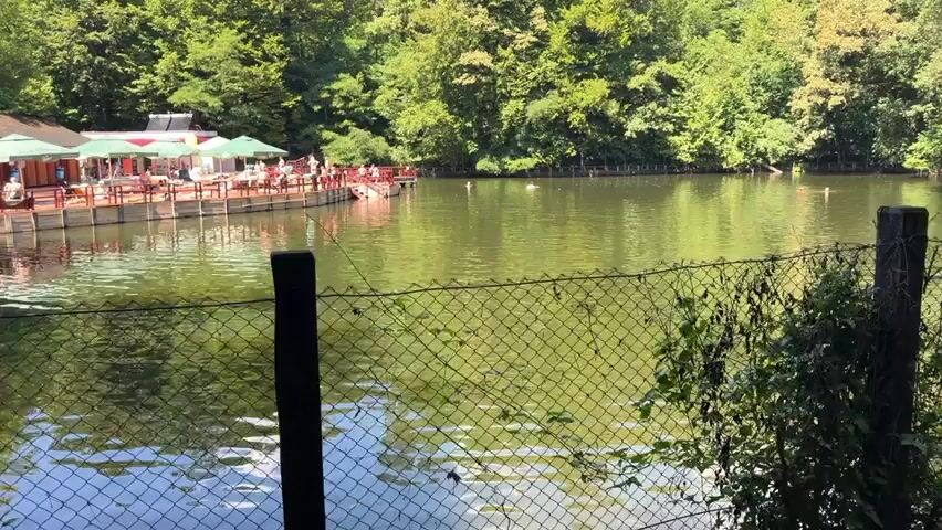 The video shows a calm lake surrounded by lush green trees. On the left side of the lake, there is a wooden deck with several tables and umbrellas, where people are seated. A small building with a red roof is also visible on the deck. The water is a greenish color and reflects the surrounding foliage. In the foreground, there is a fence made of black mesh and wooden posts. The overall scene depicts a peaceful outdoor setting, possibly a park or a lakeside resort.