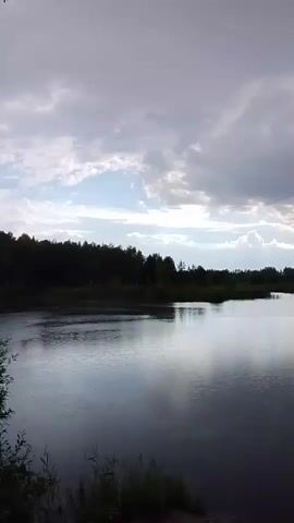 A video taken from a ground-level perspective shows a lake with a forest in the background under a cloudy sky. The camera is positioned facing the lake and the treeline. Reeds are visible along the bottom edge of the frame, in the foreground, on both sides. The sky is filled with large, grey clouds, with some patches of blue sky visible in the distance. The lake's surface is relatively calm, with subtle ripples visible. The trees in the background form a dark, dense line against the sky. The lighting suggests it is either early morning or late evening, possibly before or after a rain shower due to the overcast conditions.