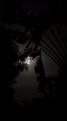 Nighttime moments captured across North Kuta Indonesia locations