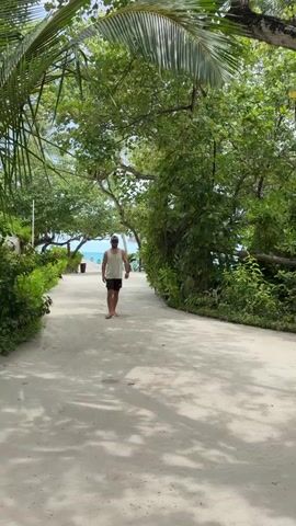 The video shows a man walking on a sandy path lined with lush green trees and foliage. The man is wearing a dark sleeveless shirt and shorts. Sunlight filters through the leaves, creating dappled shadows on the path. In the background, there are glimpses of palm trees and a body of water, suggesting a tropical or coastal setting. The path curves gently to the right, leading further into the greenery. A fence is visible in the distance, possibly enclosing a tennis court. The overall atmosphere is serene and peaceful, with a focus on nature and outdoor activity.