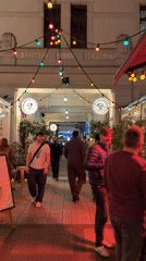 Evening social activity documented across Budapest entertainment district