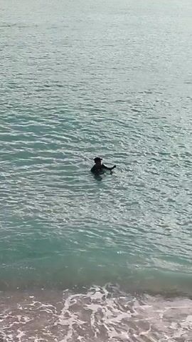 The video depicts a wide, sunlit shot of the ocean's edge with two individuals visible in the water. In the foreground, a person is partially submerged, their head and shoulders above the surface, holding what appears to be a thin, dark object. Further out, another individual's head can be seen bobbing in the water. Gentle waves lap the shore, indicating calm sea conditions.