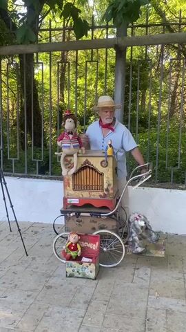 In Divnomorskoye, Russia, a street performer stands with a barrel organ, engaging an audience likely on a sunny day. The performer, an older man with a straw hat and a red neckerchief, is positioned behind a colorful barrel organ adorned with toy monkeys and a parrot. A stuffed monkey is perched atop the organ, while a stuffed dog sits on a small platform to the right. A small stuffed figure in a red box sits at the front left of the organ. The barrel organ itself is mounted on a wheeled cart, resembling a vintage stroller. The background features a metal fence and lush green foliage, suggesting an outdoor setting, possibly a park or promenade. The scene evokes a cheerful and nostalgic atmosphere, indicative of a performance designed to entertain passersby. The visible text on the red box reads "СПАСИБО!" which translates to "THANK YOU!" in Russian.