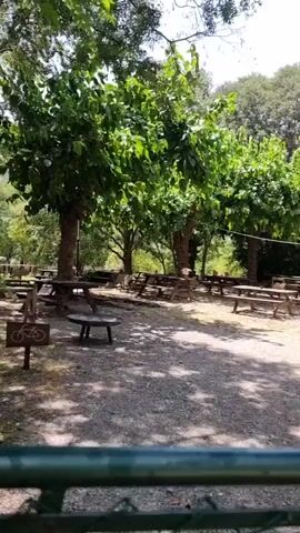 The media shows an outdoor scene with picnic tables and lush greenery. In the foreground, a chain-link fence is visible. Behind the fence, several wooden picnic tables and benches are arranged on a gravelly area. Tall trees with dense green foliage surround the area, creating a shaded atmosphere. The sky above is partly cloudy, suggesting daytime, possibly late morning or afternoon, with good weather.

As the camera pans to the right, a vibrant wall of green leaves and bright red trumpet-shaped flowers comes into view. The flowers are clustered on vines that drape down, creating a beautiful natural display. A small sign with a red circle and a horizontal bar, indicating prohibition, is attached to the fence, along with text that appears to read "Privat," meaning "Private" in Catalan or Spanish. This suggests the area beyond the fence is private property.

The overall impression is a serene and inviting outdoor space, possibly a park, garden, or a picnic area associated with a private establishment. The abundance of trees and the flowering vines contribute to a natural and somewhat secluded ambiance. There are no people visible in the frame, implying the space is either empty or the occupants are out of view. The scene is peaceful and highlights the natural beauty of the location. The presence of picnic tables suggests it is a place for relaxation and outdoor gatherings.