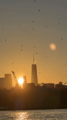 NYC sunset captured from multiple vantage points Friday evening