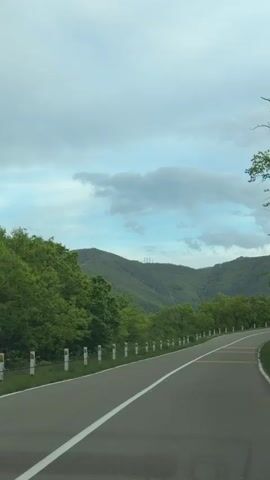 The video shows a winding road on a cloudy day with green trees lining the side. Mountains can be seen in the distance. The road has a white line on the left side and yellow lines in the center. There is a white guardrail on the side of the road closest to the camera.