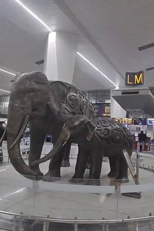 Bronze elephant statue display spotted at New Delhi airport terminal