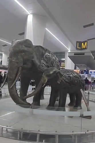 Bronze elephant statue display spotted at New Delhi airport terminal
