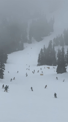 Skiers navigate foggy slopes at Whistler resort