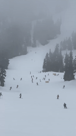 Skiers navigate foggy slopes at Whistler resort