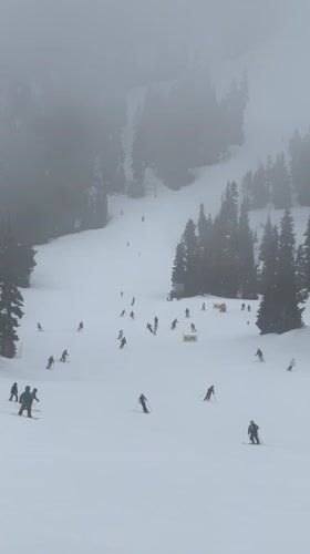 Skiers navigate foggy slopes at Whistler resort