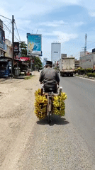 Man transports bananas by bicycle in Lhokseumawe, Indonesia