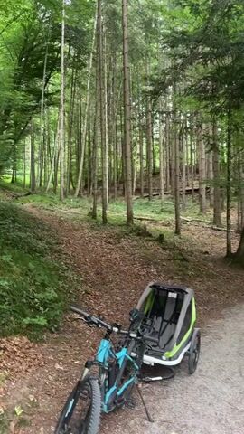 A first-person perspective video shows a bicycle with a child trailer attached on a wooded path. The camera pans right, showing a person in dark clothing walking away from the camera on the path. The path winds through a forest with tall trees and some undergrowth. Sunlight filters through the leaves, creating dappled light on the path and forest floor. A wooden bench is visible on the side of the path.
