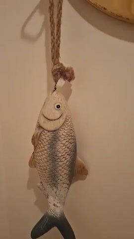 A close-up video shows two decorative fish. The first fish is a light-colored, carved fish with a smiling face, hanging from a rope. The second fish is dark blue with a mottled pattern and appears to be made of ceramic or stone. This fish is reflected in a porthole-style mirror with a brass frame. The porthole mirror is also hanging from a rope. The video focuses on the details of the fish and the mirror.