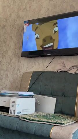 The video shows a television screen displaying animated horses running in a snowy landscape. Below the television, a teal-colored couch with gold trim is visible. On the couch, there is a white printer with visible ink tanks, a laptop, and some papers. Two small, patterned mats are placed on the couch cushion in front of the printer and laptop. The wall behind the couch and television has a textured wallpaper. A partially visible door is on the left side of the frame.