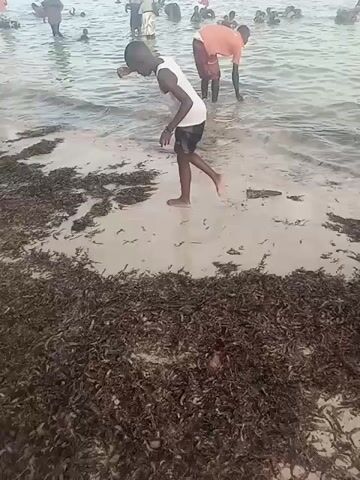 The video shows a beach with a lot of seaweed on the sand. Several people are enjoying the water in the background, while in the foreground, a boy wearing a white tank top and dark shorts is standing near the water's edge. He then crouches down and another, smaller child hops onto his back.