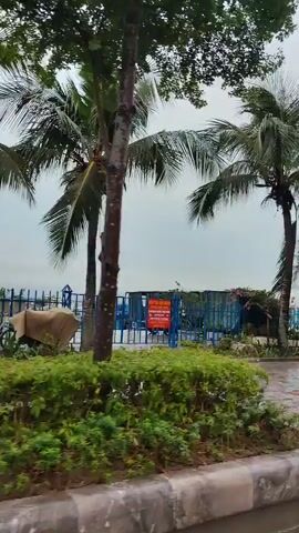 The camera captures a view of a waterfront scene through the lens of a moving vehicle.  In the foreground, a row of palm trees and green bushes line the roadside, creating a natural barrier between the road and the water. Beyond this, a decorative blue and white fence separates the greenery from the bay. A variety of boats, including some larger vessels and sailboats, dot the water.  On the distant shore, a city skyline with tall buildings is visible, adding a sense of urban backdrop to the maritime setting. The sky is overcast, casting a soft, diffused light over the scene. The overall impression is one of a coastal environment with a blend of natural beauty and human activity.
