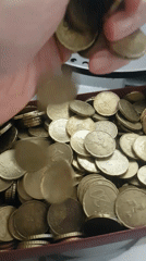 Saint Petersburg residents capture everyday moments with pets, coins