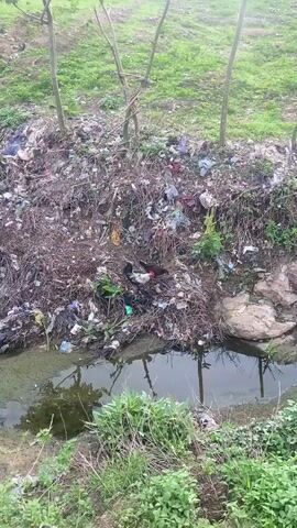 The image captures an outdoor scene depicting severe environmental pollution. A steep, muddy embankment slopes downwards, covered entirely with a dense accumulation of discarded waste. This refuse includes numerous plastic bags of various colors (yellow, blue, white, black), fabric scraps, discarded clothing items, and other indistinguishable debris, all mixed with dry branches and sparse green foliage.

Two chickens are visible on the trash-laden bank. One is a white rooster with black tail feathers and a red comb, while the other is dark brown or black. Both appear to be foraging among the garbage.

At the base of the embankment, a narrow, murky body of water, likely a ditch or stream, reflects the dull sky and the surrounding debris. Green grass and weeds grow along the water's edge and at the top of the embankment. Two thin wooden poles or stakes stand vertically on the upper left side.

The lighting is soft and diffuse, suggesting an overcast day or early morning/late afternoon. No people are visible. The scene, located in Tilde, Nigeria, highlights an area heavily impacted by uncontrolled waste disposal.