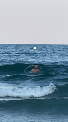 Seagulls, swimmers, and summer waves on the Nesebar shore