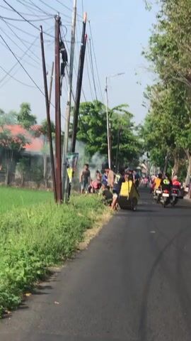 A group of people are gathered on the side of a paved road next to a field of green crops and a utility pole with numerous wires. A yellow cart with wheels is positioned on the roadside, and several individuals are interacting with it. Smoke is visible near the utility pole, originating from the edge of the field. Some people are standing, while others appear to be bending down or working on something near the ground. There are trees and houses in the background. A motorcycle is parked on the road to the right. The sky is overcast.