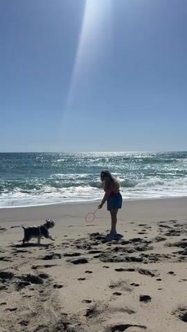 The video shows a woman and a dog on a beach, and then a man playing tennis. The woman, who has blonde hair, is wearing a red top and blue jean shorts. She is standing on the sand with a small gray and black dog on a leash. She appears to be playing with the dog. The background shows the ocean with waves and a clear blue sky. The sun is shining brightly. Then the woman and dog move out of frame, and a man wearing black swim trunks plays tennis.