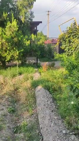 A long shot captures an outdoor scene with lush green trees and vegetation. In the background, a house with a red roof and an attached patio is visible. A yellow gas pipe runs horizontally across the frame, supported by poles. The ground in the foreground appears to be dry and dusty, with a rough concrete barrier running along the bottom of the image. Sunlight filters through the trees, casting shadows and illuminating the foliage. The sky above is bright and hazy, suggesting a warm day. There are no people or animals present in the frame.