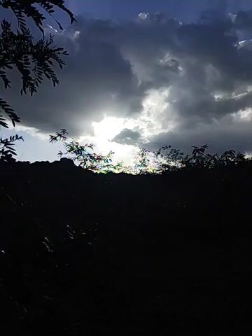 A short video shows a cloudy sky with the sun partially visible behind the clouds. In the foreground, there are dark silhouettes of trees and vegetation. The camera appears to be stationary.