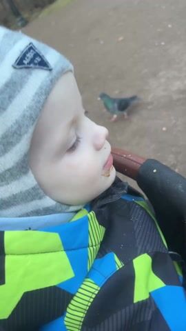 A child with a smudge on their face sits in a stroller, looking to the side. The camera then focuses on a large group of pigeons on the ground, pecking at the ground. The birds are mostly grey, but there is one white pigeon among them. A person's legs walk by in the background. The camera remains static and focuses on the ground, with the stroller partially visible on the left side of the frame.