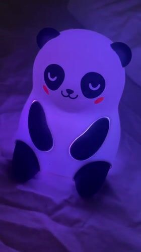 Late-night documentation of home décor and toys in Braunlage