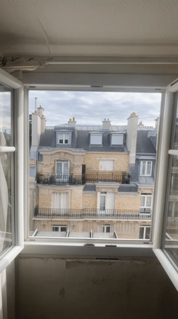 Paris rooftops and streets on an overcast September morning
