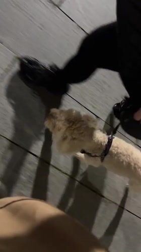 Evening dog walk and bike riding captured in Batumi
