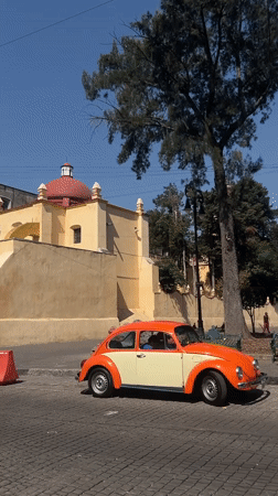Historic Mexico City plaza scenes documented during midday visit