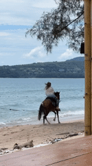 Beach day with horseback riding and umbrella relaxation