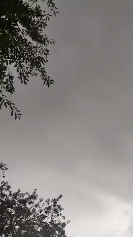 The video shows a close-up, low-angle shot of trees against a cloudy sky. The branches of two trees are visible, one in the upper left and another in the lower portion of the frame. The sky is overcast and gray, with no discernible features other than the clouds. The video is short, lasting only four seconds, and there is no audible sound. No people or animals are visible in the video.