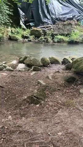 The video shows a close-up view of a rocky stream bank with a bird. The stream is in the background, with clear water flowing over rocks. The bank is covered in dirt, leaves, and small stones, with several larger rocks scattered throughout. In the foreground, a small brown bird is perched on a rock. The bird appears to be a wren, with its characteristic bobbing tail. The bird is facing to the left, and it seems to be looking for food. The overall impression is one of a peaceful, natural scene.