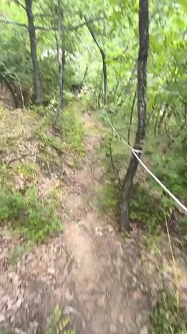 The video shows a POV walking footage of a dirt path in a forest. The path is narrow and winding, with trees and lush green foliage on either side. Rocks and fallen leaves are scattered along the path. A white rope is visible, stretched across the path at chest height, appearing to be a guide rope or a marker. The scene is bathed in natural light, suggesting it's daytime. The environment is a dense forest with a temperate climate.