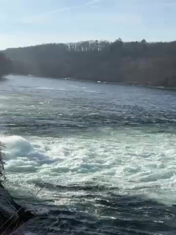 The video shows a large body of water with white water rapids in the foreground. The water is dark and turbulent. In the background, there is a forested area. The sky is blue with some light clouds.  The camera appears to be stationary. There are no people visible in the video.