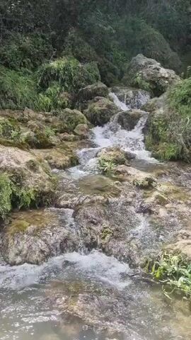 The video pans across a natural landscape featuring a flowing stream that leads to a cascading waterfall. The terrain is rocky and overgrown with lush green vegetation. The water is clear and appears to be moving rapidly over stones. The waterfall itself is a significant natural feature, with water plunging down a rocky cliff face. The surrounding environment is verdant and appears to be a natural, uncultivated area. There are no people or man-made objects visible in the footage. The scene is characterized by the sounds of flowing water and the visual dynamism of the waterfall.