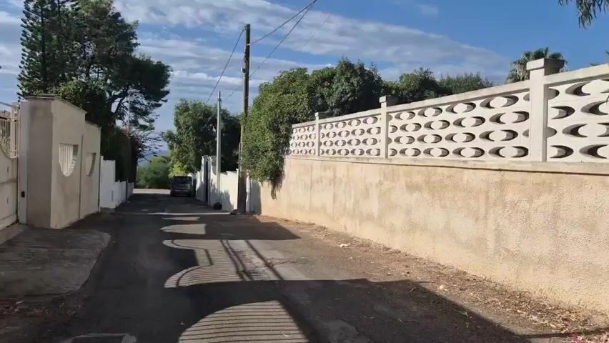 A drone or camera pans along a narrow paved road flanked by stucco walls. On the right, a textured concrete wall supports a decorative white block fence with a repeating oval pattern. Lush green trees and foliage line the left side of the road, with a glimpse of the sky and some clouds above. Further down the road, a dark-colored car is parked. The camera then focuses on a light brown dog with a curled tail standing behind a metal gate. The dog is looking towards the camera. The ground inside the gate is paved with irregular stone shapes. The sun casts distinct shadows on the road.