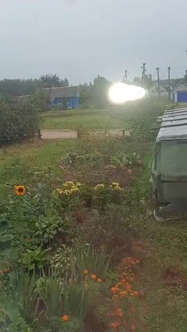 A bright light flash is visible in the distance, possibly a camera flash or a lightning strike. The scene is an outdoor garden with various plants, including sunflowers and marigolds. In the background, there are houses and trees. The sky appears overcast, suggesting a cloudy or rainy day.
