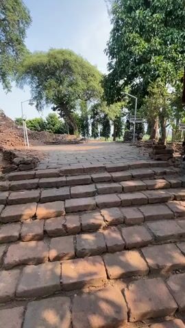 The video shows a wide, stone pathway leading up a set of brick stairs. Large trees with lush green leaves are visible on either side of the pathway, with a clear blue sky overhead. In the background, there are remnants of brick structures, suggesting an ancient or historical site. The lighting indicates it is daytime, likely morning or afternoon due to the shadows cast by the sun. There are no people or animals visible in the frame, and no discernable actions or interactions taking place. The overall environment appears to be an outdoor historical park or archaeological site.