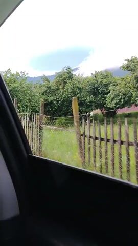 The video captures a view from inside a vehicle, looking out the passenger side window. The scenery is rural, with lush green trees and vegetation dominating the landscape. A rustic wooden fence with wire mesh runs along the side of the road, demarcating a field or property. In the background, there are more trees and a hint of distant hills under a cloudy sky. The perspective suggests the vehicle is moving, causing a slight blur and a sense of motion. The interior of the vehicle is visible in the foreground, with the dark frame of the window and the top of the door panel. The lighting is soft and diffused, indicating an overcast day.