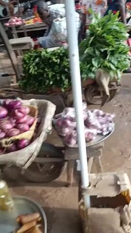 The video shows a busy outdoor market scene with various vendors and shoppers.

In the initial frame, a wheelbarrow laden with leafy greens and a tray of red onions is visible. Several people are present, including one person in a patterned shirt who is partly obscured.

The camera then follows a woman wearing a black shirt and shorts with her hair in braids. She is maneuvering a wheelbarrow containing a blue and white cooler filled with water and plastic cups.

The camera moves through the market, capturing other people and stalls. The ground is dirt. Other stalls are stocked with various produce.