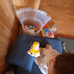 Toddler plays and explores a cozy home in rural South Korea