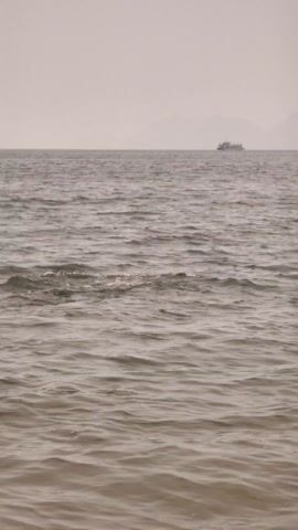 A person is swimming in the ocean, with a ship visible in the distance. The water is choppy and the sky is overcast. The person is wearing a pink cap.