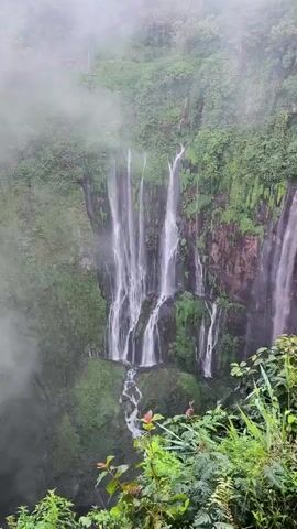 This is a vertical video of a waterfall cascading down a lush green cliff face. The waterfall is wide and appears to be made up of multiple streams of water. The surrounding vegetation is dense and vibrant green, with some areas of darker, wet rock visible where the water flows. Mist or fog hangs in the air at the top of the waterfall, partially obscuring the upper reaches of the cliff and adding to the atmospheric effect. The foreground of the video is filled with green foliage, suggesting the viewpoint is from a slightly elevated position overlooking the waterfall. The water flows down and disappears into the lower reaches of the frame, where the bottom of the ravine or pool is not visible. The overall impression is one of a natural, serene, and perhaps slightly mysterious environment.
